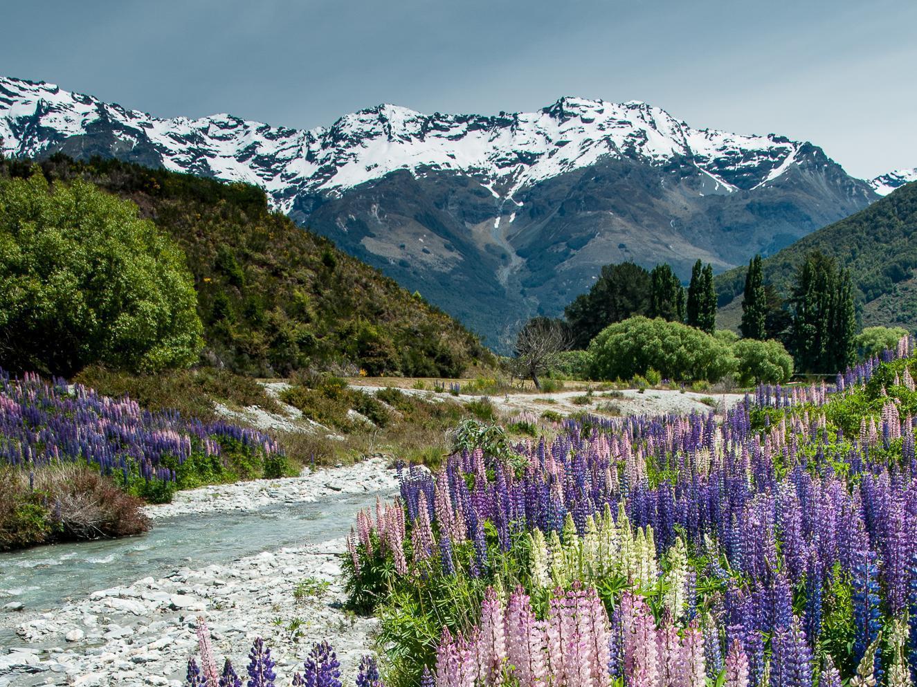 Glenorchy Peaks Bed And Breakfast Exterior photo